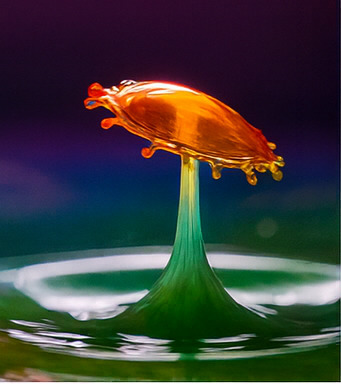 새로운 탐험을 만나보세요